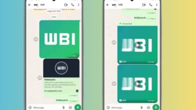 WhatsApp Premium