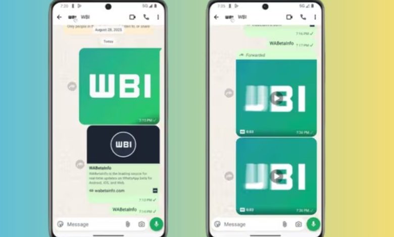 WhatsApp Premium