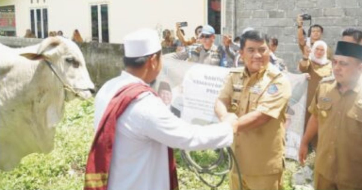 Bantuan sapi kurban Presiden RI